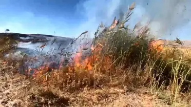Elazığ'da Otluk Alanda Yangın