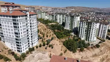 Elazığ'da Fidan Kurtaran Adam