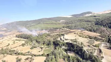 Muğla ve Aydın'da Orman Yangını Kontrol Altında