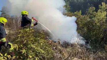 Bolu'da Ormanlık Alanda Çöp Yangını Kontrol Altına Alındı