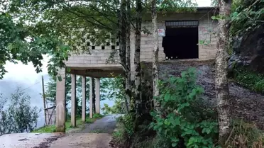 Rize'de Yola Engellemeyen Çay Alım Yeri