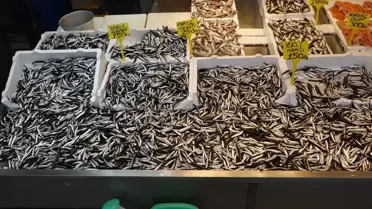 Trabzon'da Balık Çeşitliliği Artıyor