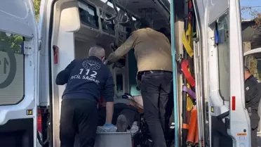 Bursa'da Kestane Kavgası: 3 Yaralı