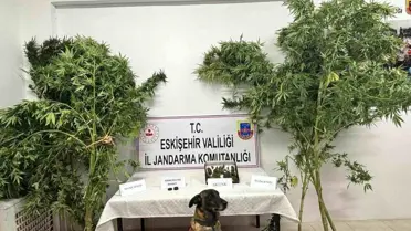 Eskişehir'de Uyuşturucu Operasyonu