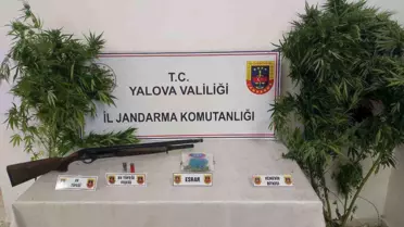 Yalova'da Uyuşturucu Operasyonu