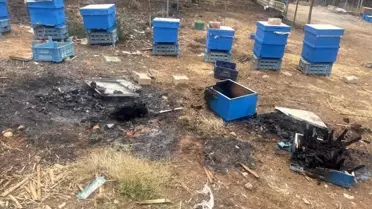 Bursa'da Arı Kovanı Desteği Projesi Başlatıldı