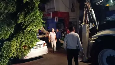 Antalya'da Hortum ve Sağanak Hasara Yol Açtı
