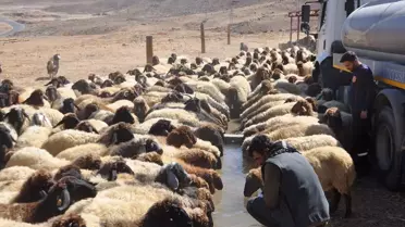 Hizan'da Susuzluk Sorunu Çözüldü