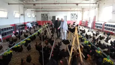 Malatya'da Öğrencilerden Tavuk Yetiştiriciliği