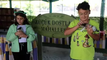 Kocasinan Belediyesi'nden Sokak Hayvanlarına Özel Projeler