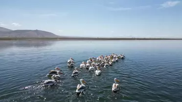 Niğde'de Kuraklık Barajları Vurdu