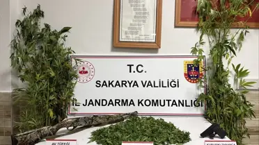 Karasu'da Uyuşturucu Operasyonu: 1 Tutuklama