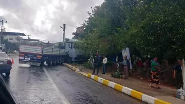 Aydın'da TIR Kazası: Ağaçlar Devrildi