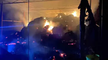 Gazipaşa'da Ahır Yangını: Bir Buzağı Telef Oldu, İnek Yaralandı