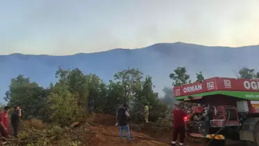 Bingöl'de Orman Yangını Kontrol Altına Alındı