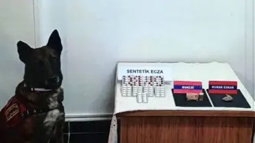 Bolu'da Uyuşturucu Operasyonu