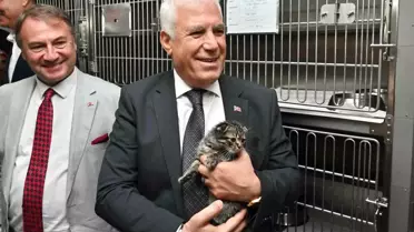 Bursa'da Sokak Hayvanlarına Şefkat Eli: Gümüştepe Bakımevi