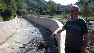 Rize'de Dere Islahı Çay Üreticisini Mağdur Etti
