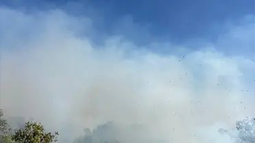 Diyarbakır'da örtü yangınına müdahale