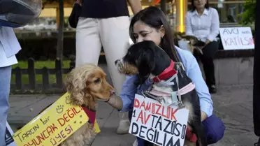 Gümüşhane'de Hayvanları Koruma Günü Yürüyüşü
