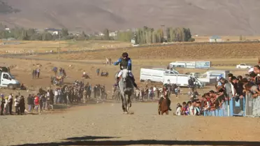 Karlıova'da Geleneksel At Yarışları