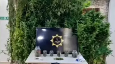 Kırklareli'nde Uyuşturucu Operasyonu