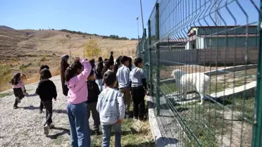 Van'da Dünya Hayvanları Koruma Günü Etkinlikleri