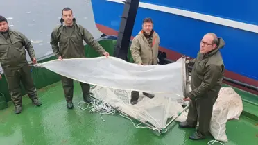 Müsilaj Balık Üremesini Etkilemiyor