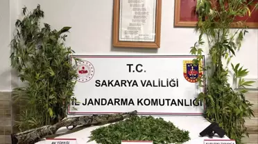 Kenevir Hasadı Yapan Şahıs Tutuklandı