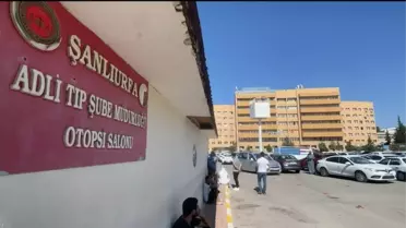 Şanlıurfa'da Üst Geçide Çarpan Otomobilin Sürücüsü Hayatını Kaybetti