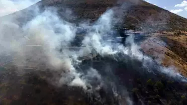 Kayseri'de Orman Yangını Çıktı