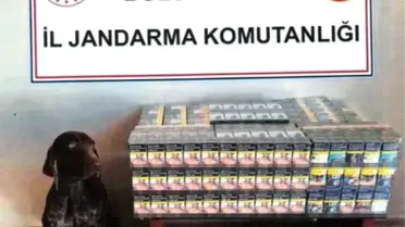 Bolu'da Kaçak Sigara Operasyonu