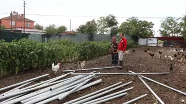 Edirne'de Sera Projesi İncelemesi