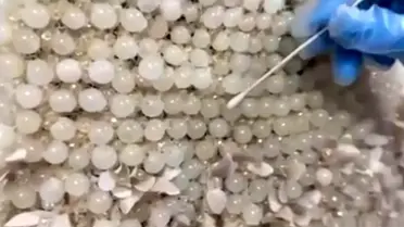 Kayseri'de 25 Kilo Uyuşturucu Ele Geçirildi