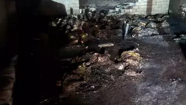 Niğde'de Ahır Yangını: 170 Koyun Telef Oldu