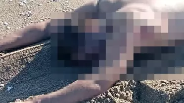 Sakarya Karasu'da sahilde çıplak erkek cesedi bulundu