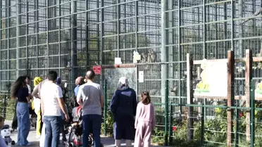 Kayseri Hayvanat Bahçesi, Dünya Hayvanları Koruma Günü'nde Ücretsiz Ziyarete Açıldı