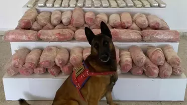 Başkale'de Uyuşturucu Operasyonu