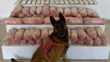 Başkale'de 67 Kilo Uyuşturucu Ele Geçirildi