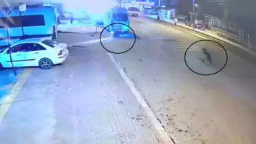 Hatay'da Motosiklet Kaza Geçirdi