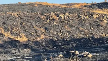 Elazığ'da Orman Yangını Kontrol Altına Alındı