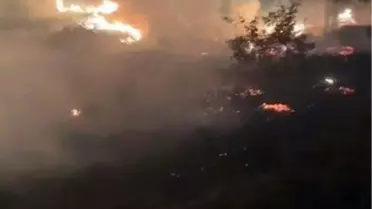Elazığ'da Otluk Alanda Yangın
