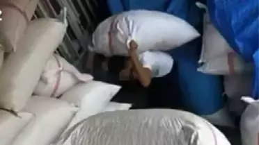 Gaziantep'te Fıstık Hırsızlığı