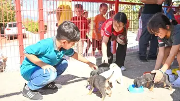 Kumluca'da Hayvanları Koruma Günü Etkinliği