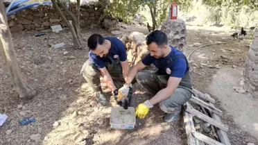Karaköprü'de Yavru Köpek Foseptikten Kurtarıldı