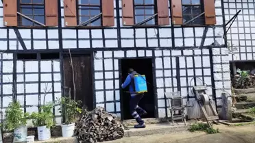Kahverengi Kokarca ile Mücadele Devam Ediyor