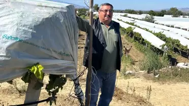 Üzüm Bağını Kamera ile Koruyor