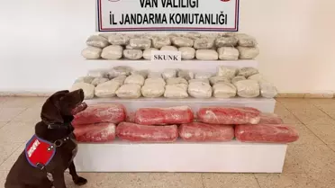 Başkale'de 61 Kilo Skunk Ele Geçirildi