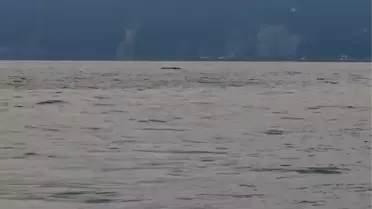 İnsansız Deniz Aracı Hopa'da İmha Edildi