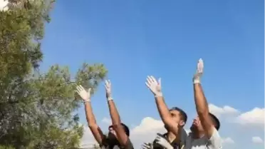 Yavru Baykuşlar Doğaya Salındı